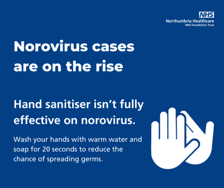 Graphic explaining that hand sanitiser isn't fully effective against norovirus and that you should wash your hands with warm water and soap.