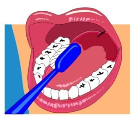 A diagram of brushing teeth.