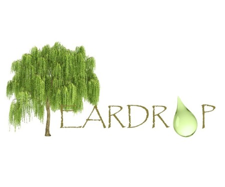 teardrop logo