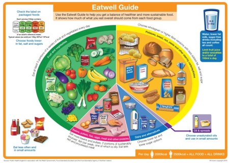 Eatwell Guide.jpg