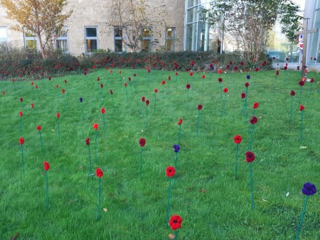 Lots of knitted poppies placed in some grass.