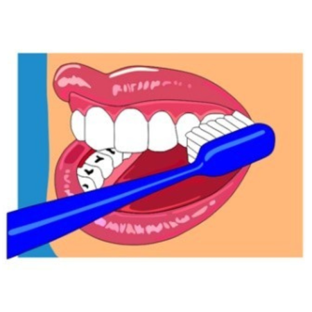 A diagram of brushing teeth.