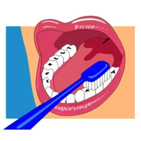 A diagram of brushing teeth.