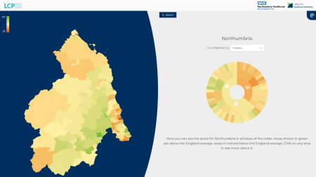 Screenshot of local health index.