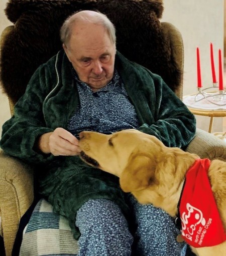 A man in a chair giving a dog a treat.