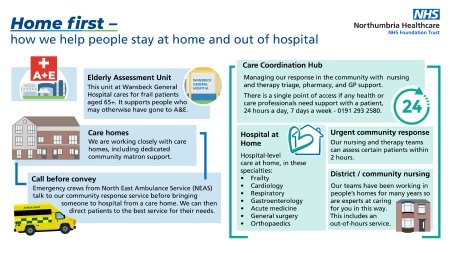An infographic showing some of the information included in the article.