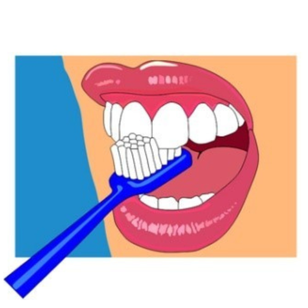 A diagram of brushing teeth.