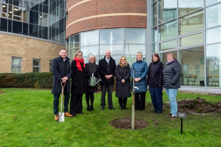 Hexham sapling planting.jpg