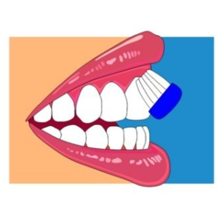 A diagram of brushing teeth.